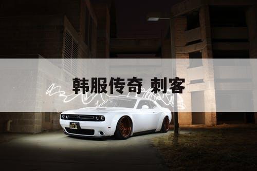 韩服传奇 刺客 韩服传奇 刺客