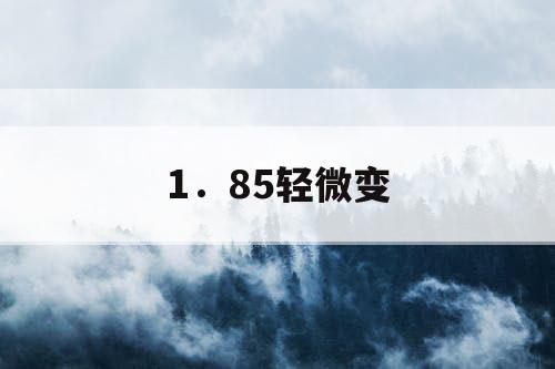 1．85轻微变