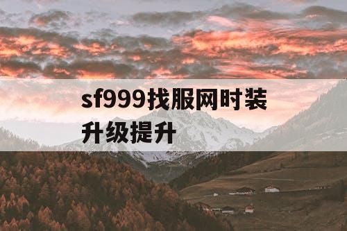 sf999找服网时装升级提升