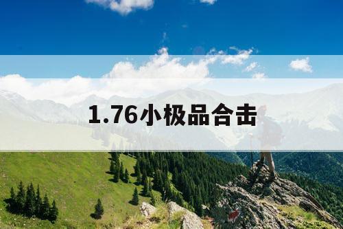 1.76小极品合击