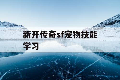 新开传奇sf宠物技能学习 新开传奇sf宠物技能学习