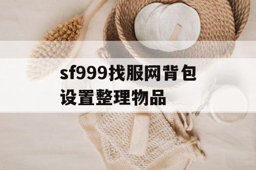 sf999找服网背包设置整理物品