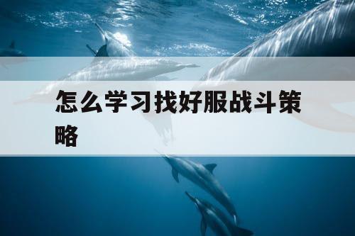 怎么学习找好服战斗策略 怎么学习找好服战斗策略