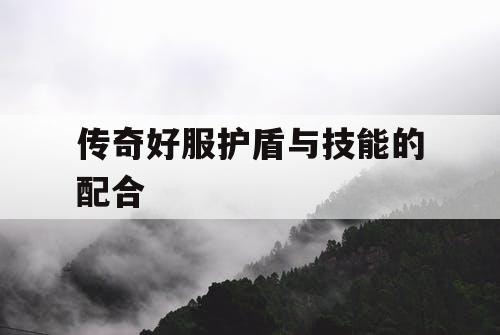 传奇好服护盾与技能的配合