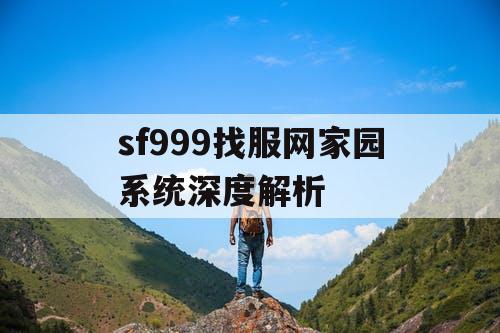 sf999找服网家园系统深度解析