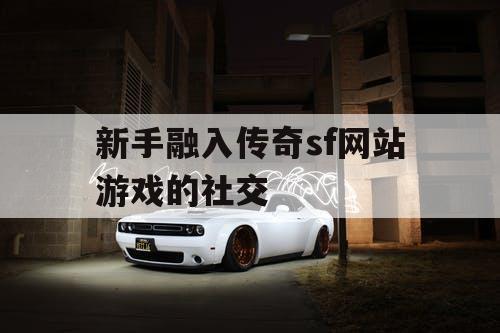新手融入传奇sf网站游戏的社交