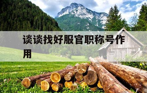 谈谈找好服官职称号作用 谈谈找好服官职称号作用