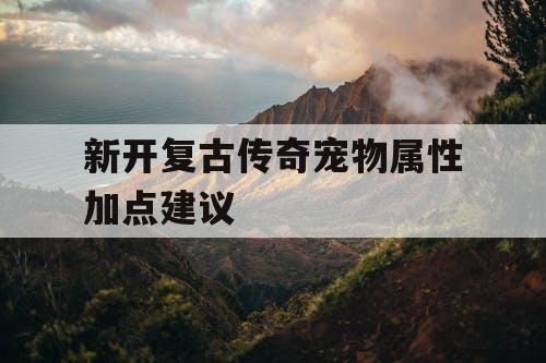 新开复古传奇宠物属性加点建议