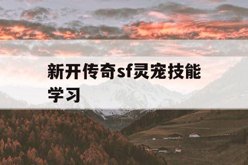 新开传奇sf灵宠技能学习 新开传奇sf灵宠技能学习