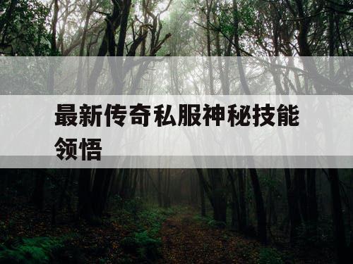 最新传奇私服神秘技能领悟