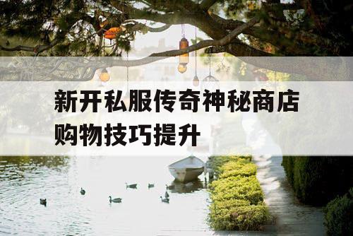 新开私服传奇神秘商店购物技巧提升