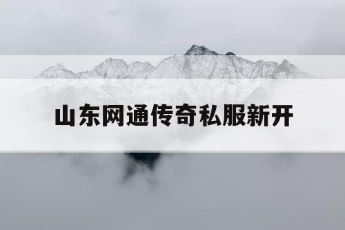山东网通传奇私服新开 山东网通传奇私服新开