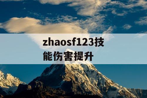 zhaosf123技能伤害提升