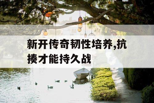 新开传奇韧性培养,抗揍才能持久战