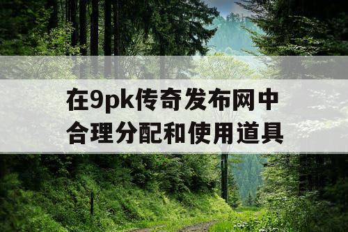 在9pk传奇发布网中合理分配和使用道具