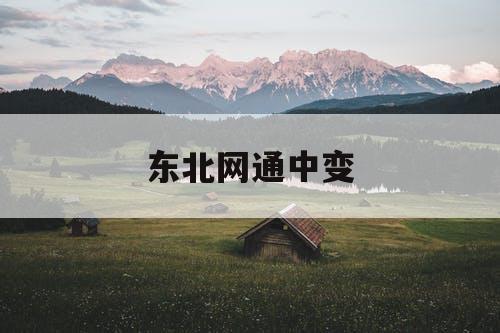 东北网通中变