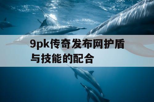 9pk传奇发布网护盾与技能的配合