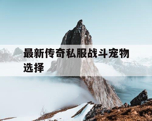 最新传奇私服战斗宠物选择