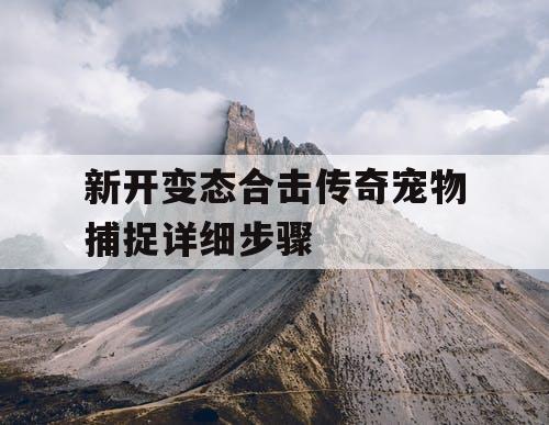 新开变态合击传奇宠物捕捉详细步骤