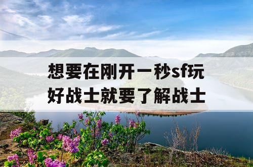 想要在刚开一秒sf玩好战士就要了解战士