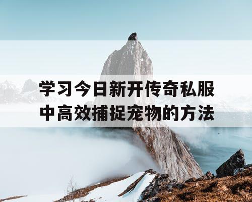 学习今日新开传奇私服中高效捕捉宠物的方法