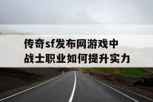 传奇sf发布网游戏中战士职业如何提升实力