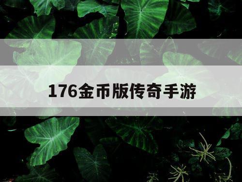 176金币版传奇手游 176金币版传奇手游