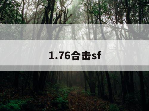 1.76合击sf