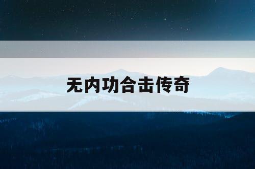 无内功合击传奇