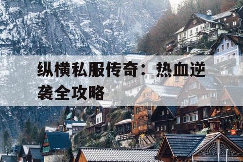 纵横私服传奇：热血逆袭全攻略