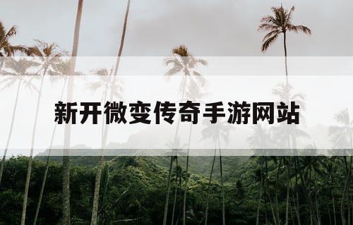 新开微变传奇手游网站 新开微变传奇手游网站