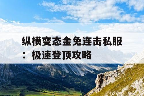 纵横变态金兔连击私服：极速登顶攻略