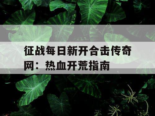 征战每日新开合击传奇网：热血开荒指南