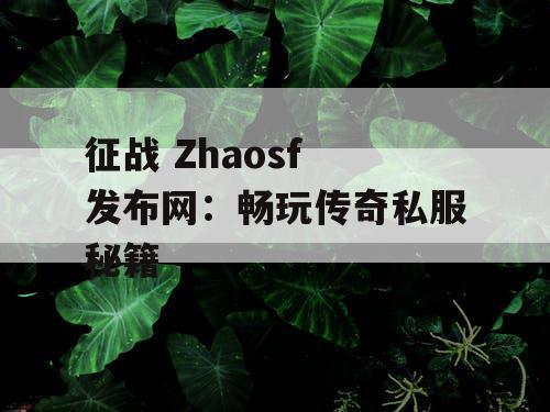 征战 Zhaosf 发布网:畅玩传奇私服秘籍 征战 Zhaosf 发布网:畅玩传奇私服秘籍