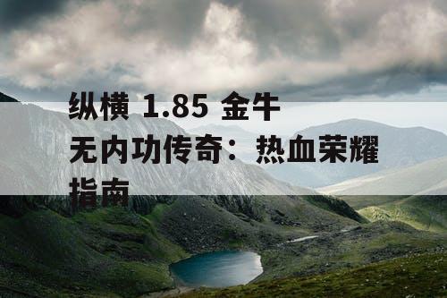 纵横 1.85 金牛无内功传奇：热血荣耀指南