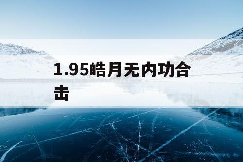 1.95皓月无内功合击