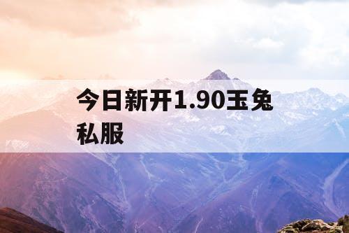 今日新开1.90玉兔私服