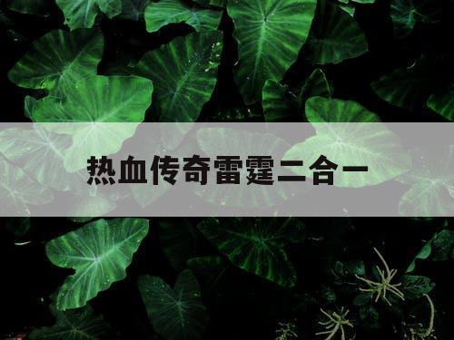 热血传奇雷霆二合一