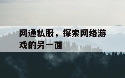 网通私服，探索网络游戏的另一面