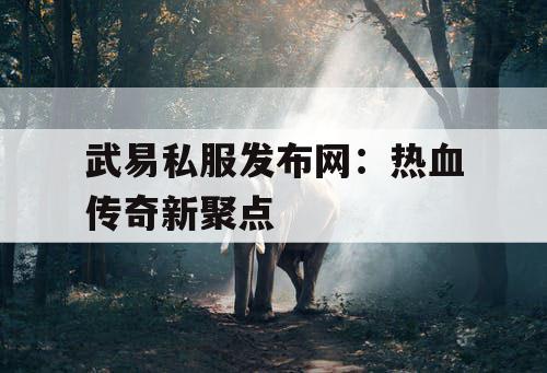 武易私服发布网：热血传奇新聚点