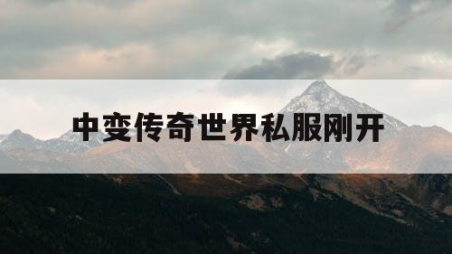 中变传奇世界私服刚开