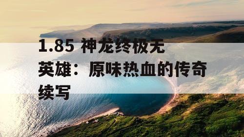 1.85 神龙终极无英雄：原味热血的传奇续写