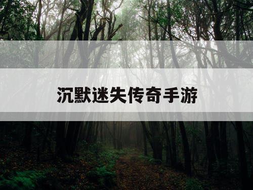 沉默迷失传奇手游 沉默迷失传奇手游