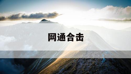 网通合击