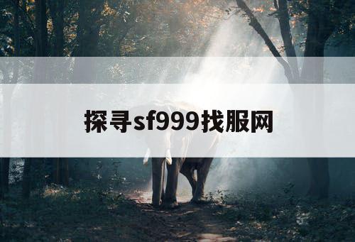 探寻sf999找服网