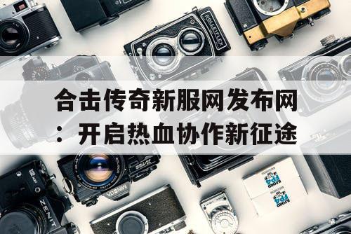 合击传奇新服网发布网:开启热血协作新征途 合击传奇新服网发布网:开启热血协作新征途