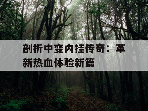 剖析中变内挂传奇:革新热血体验新篇 剖析中变内挂传奇:革新热血体验新篇