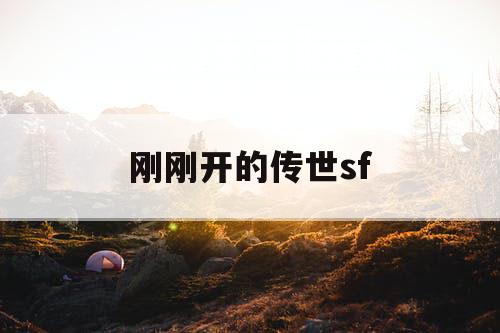 刚刚开的传世sf