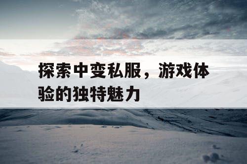 探索中变私服，游戏体验的独特魅力