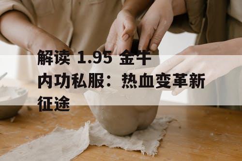 解读 1.95 金牛内功私服:热血变革新征途 解读 1.95 金牛内功私服:热血变革新征途